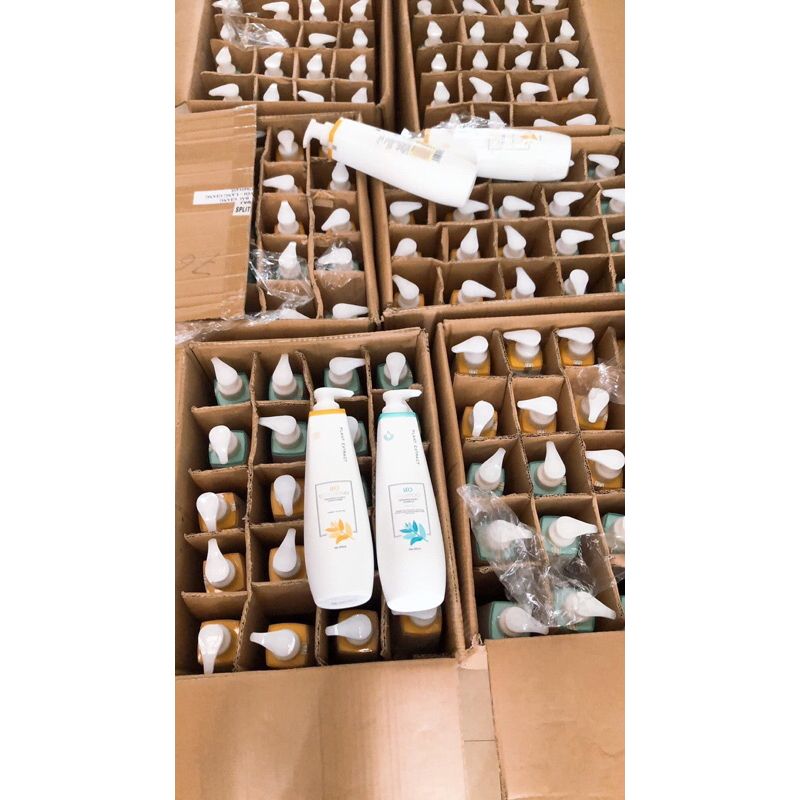 Cặp dầu gội xả phục hồi tóc hư tổn siêu mềm mượt tóc LEO PROSEE 800ml - Mỹ phẩm Divi