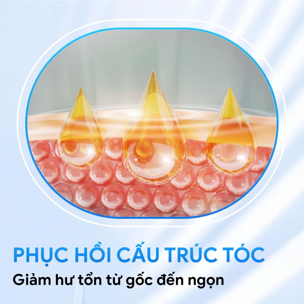 Kem dưỡng ủ tóc collagen Hấp tóc phục hồi tóc hư tổn Delofil Protein Hair Mask 500ml - Mỹ phẩm Divi